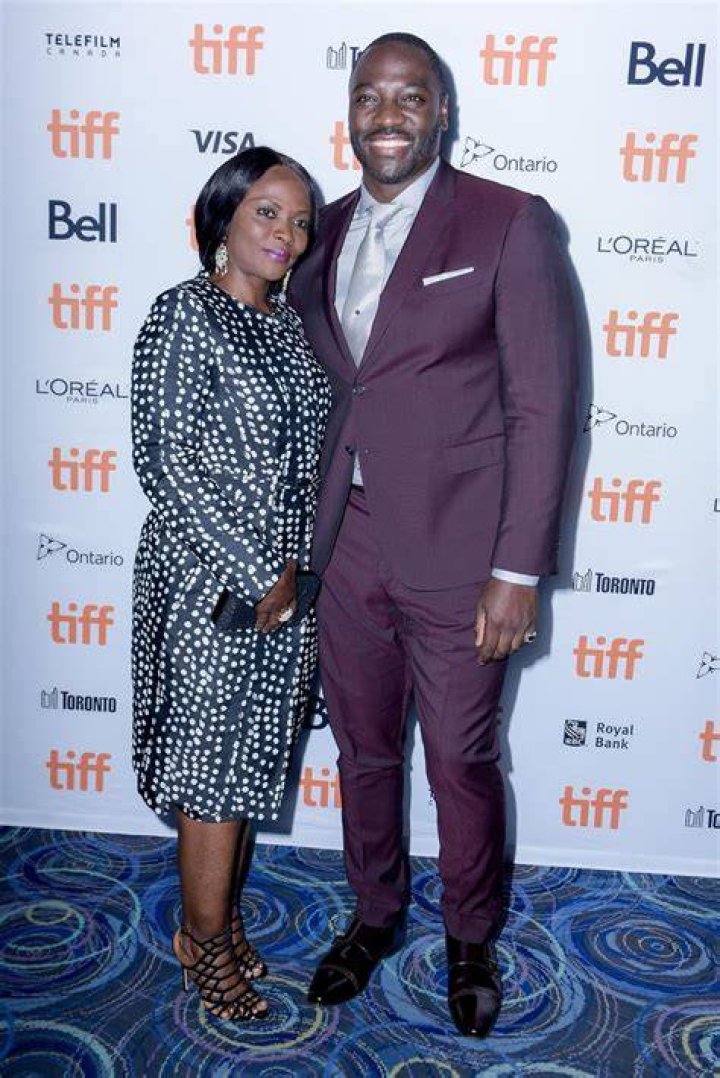 Adewale Akinnuoye-Agbaje Height, Weight, Net Worth, Age, Birthday, Wikipedia, Who, Instagram, Biography