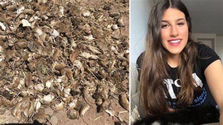 
Aleesha Naxakis PETA Age, Birthday, Wikipedia, Who, Nationality, Biography 