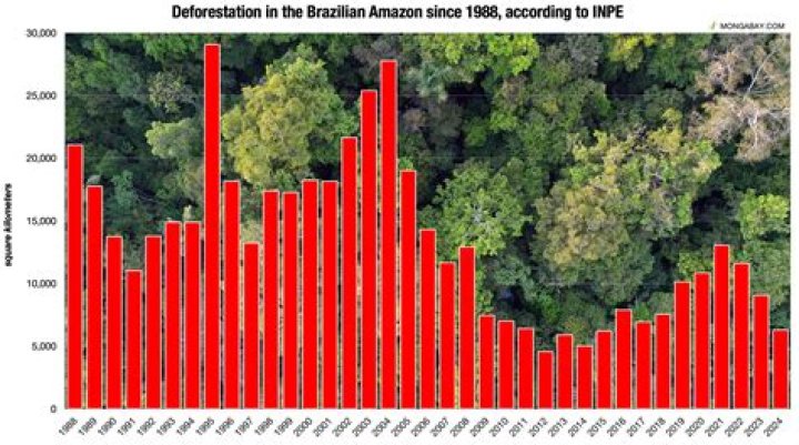 Alexis Ren Seeks To Raise Awareness For Brazil’s Amazon Rainforest Which Is Burning At A Record Rate