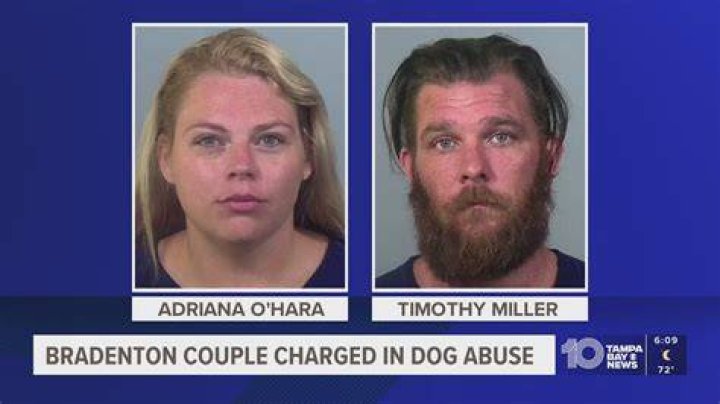 Anna Ray Arrested For Animal Cruelty On Multiple Counts