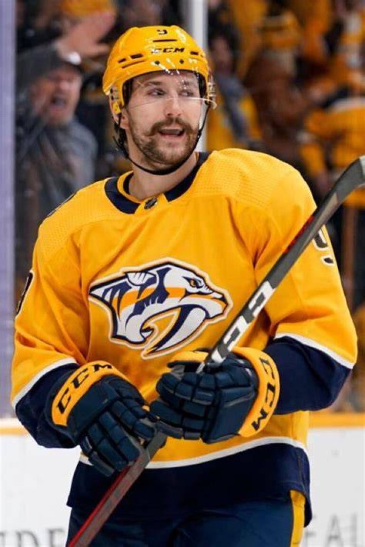 
Are Filip Forsberg And Peter forsber Related? Details To Know 