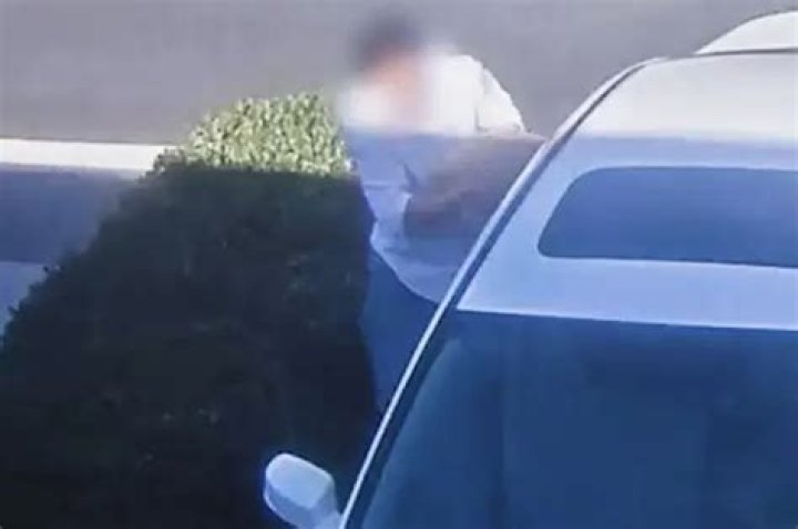 
California man charged after video footage shows him stealing dog through window of parked car 