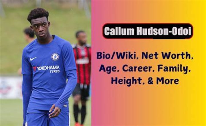 
Callum Hudson-Odoi Height, Weight, Net Worth, Age, Birthday, Wikipedia, Who, Nationality, Biography 