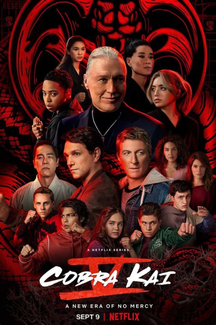 
Cobra Kai Season 6 Release Date & Time Check Star Cast and Spoilers Alert 