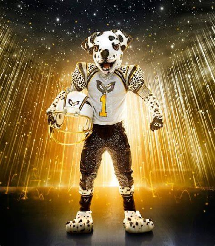 
Dalmatian Masked Singer Age, Birthday, Wikipedia, Who, Nationality, Biography 