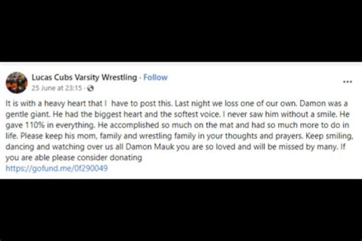 
Damon Mauk Car Accident | Death Cause And Family 