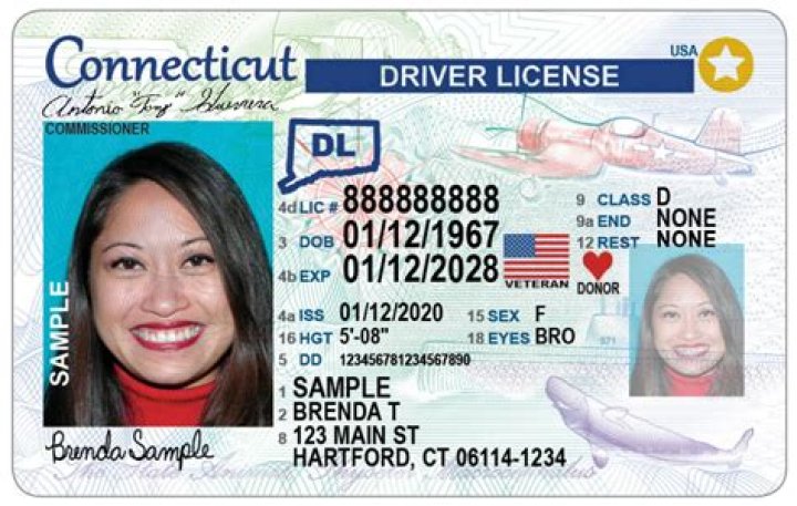 Dan Firkus Trixie Mattel Brother Has A Funny Driver’s License Photo