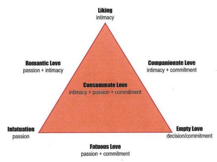 
Daniella’s “love” triangle 