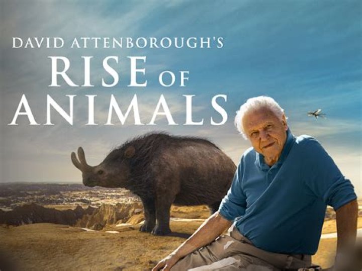 
David Attenborough Is Still Alive: Here Is An Update On The English Broadcaster Illness And Health 