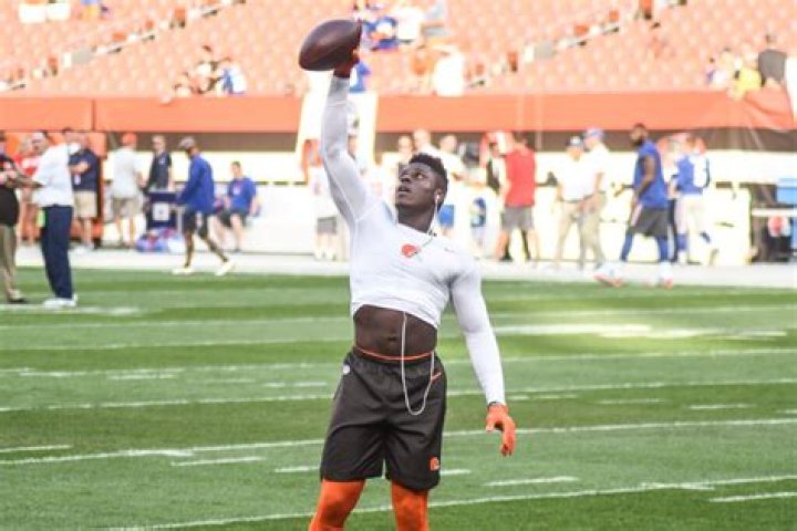 
David Njoku Height, Weight, Net Worth, Age, Birthday, Wikipedia, Who, Nationality, Biography 