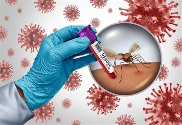 
Dengue cases on the rise in Lucknow 