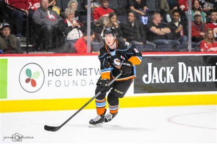 
Does American Ice Hockey Player Drew Helleson Have A Girlfriend? More About His Parents And Family 
