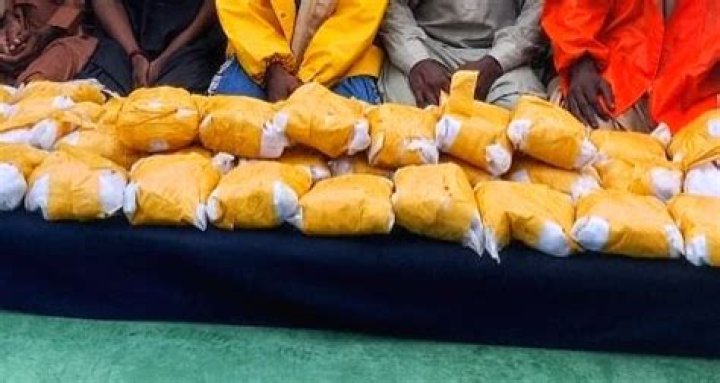 
Drugs worth over Rs 18 cr seized in Meghalaya in 4 months, 134 persons held: DGP 
