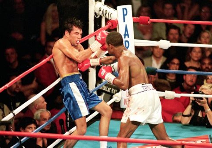 
Felix Trinidad Height, Weight, Net Worth, Age, Birthday, Wikipedia, Who, Nationality, Biography 