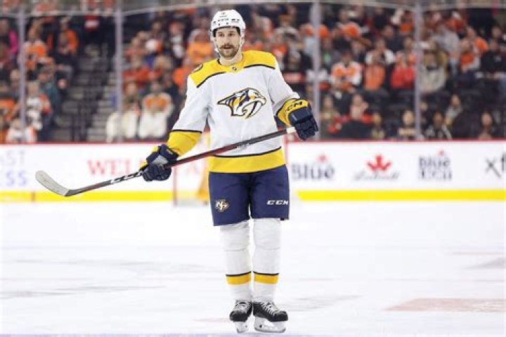 
Filip Forsberg Height, Weight, Net Worth, Age, Birthday, Wikipedia, Who, Nationality, Biography 