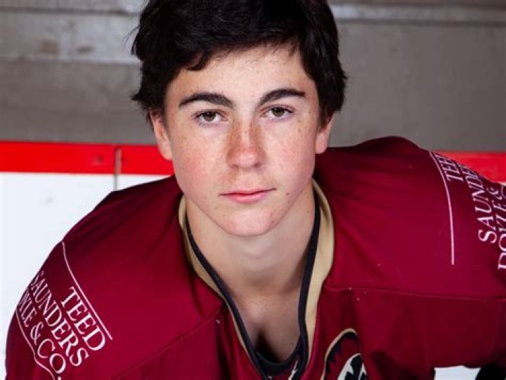 Harrison Gilks Height, Weight, Net Worth, Age, Birthday, Wikipedia, Who, Instagram, Biography