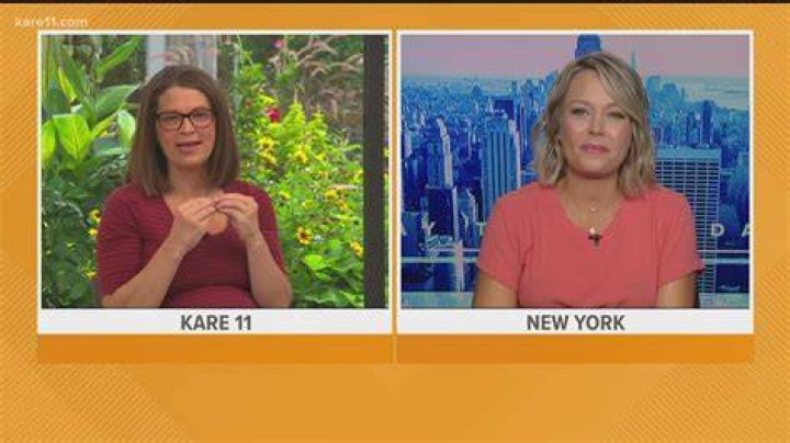 Here Is Why Everyone Thinks Laura Betker From Kare 11 Pregnant Again In 2022, Is The Baby News True or False?
