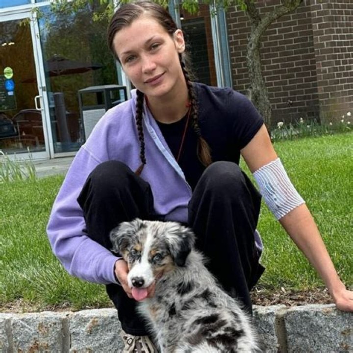 
How did Bella Hadid get Lyme disease? 