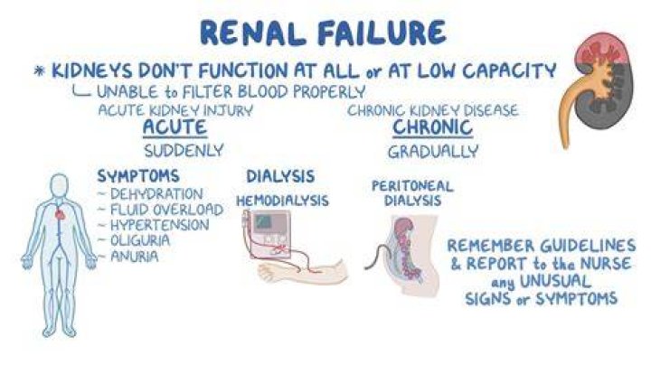 
Ian Falconer Cause Of Death: Natural Cause Or Kidney Failure? 