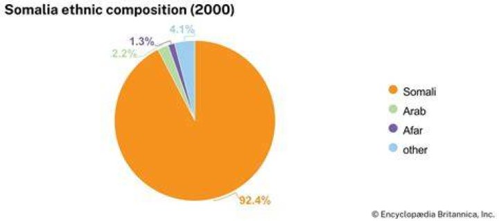 
IPL: Jason Roy Religion- Family Ethnicity And Origin 