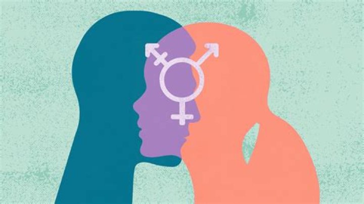 
Is Andrea Berg Transgender? Gender And Sexuality Explored – Was She Born As A Man? 