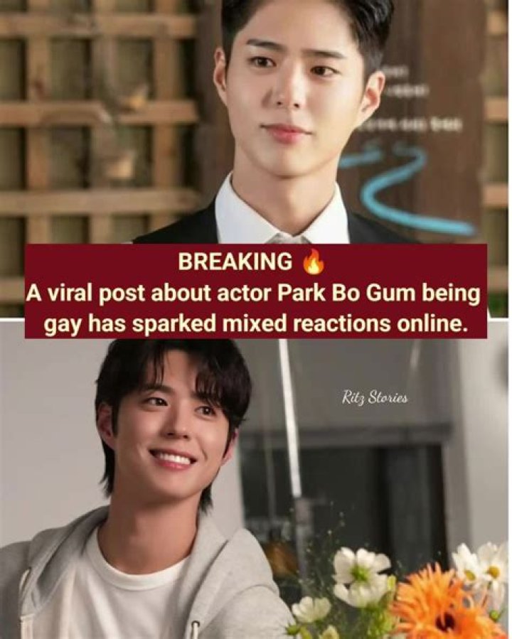 
Is Park Bo Gum Gay? Who is Park Bo Gum? 