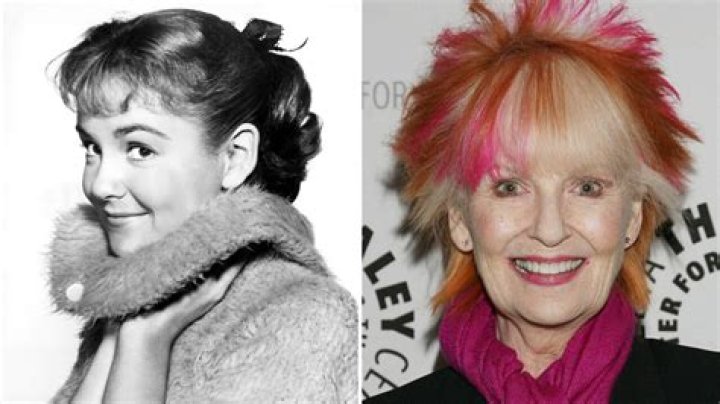 
Is Shelley Fabares Still Alive? Who Is Shelley Fabares? 