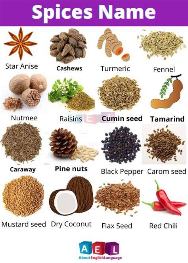 Is Spice Dead? What Happened to Spice? Is Spice in a Coma?