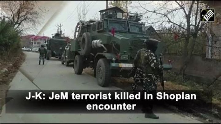 
J&K: Terrorist killed in Shopian encounter identified 