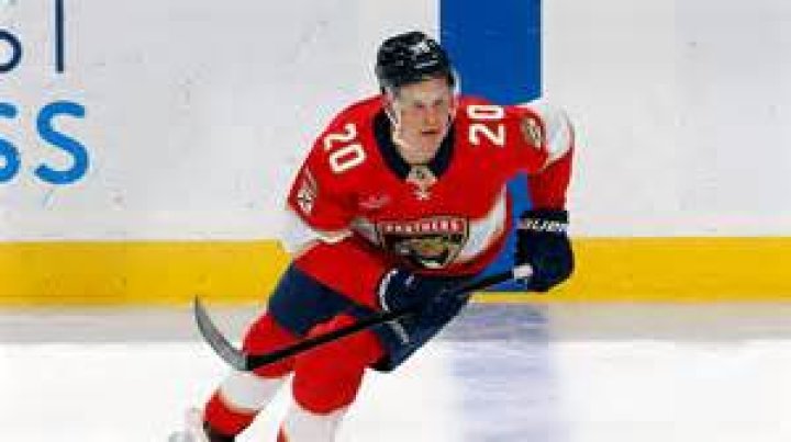 Jesse Puljujarvi Height, Weight, Net Worth, Age, Birthday, Wikipedia, Who, Instagram, Biography