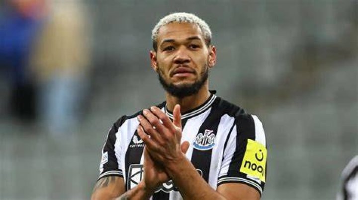
Joelinton Height, Weight, Net Worth, Age, Birthday, Wikipedia, Who, Instagram, Biography 