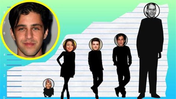Josh Peck Height, Weight, Net Worth, Age, Birthday, Wikipedia, Who, Nationality, Biography
