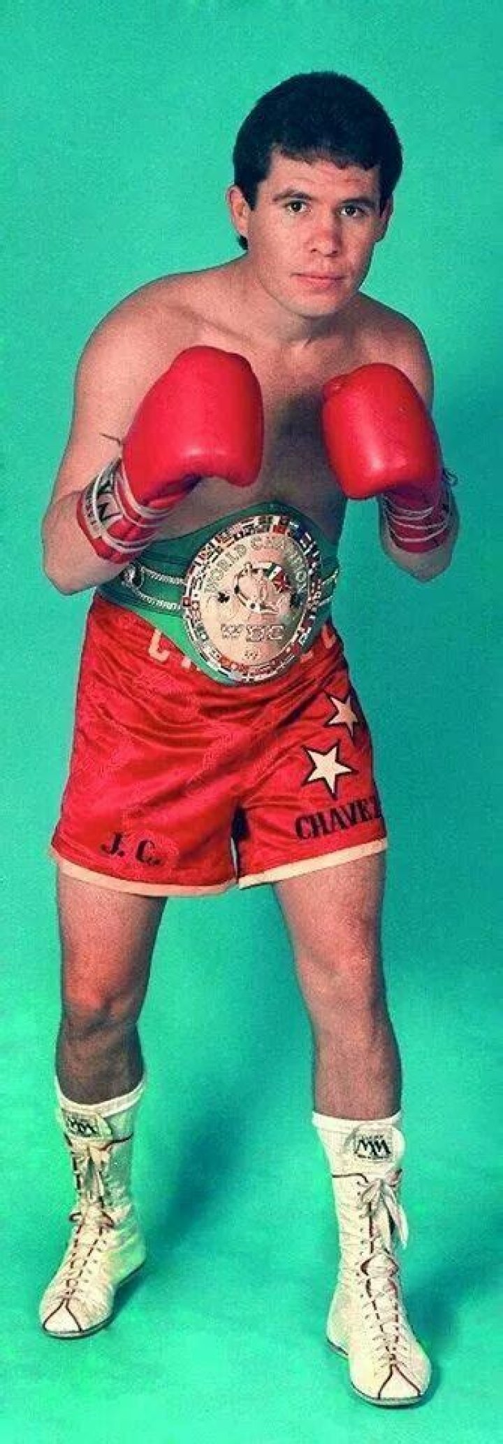 
Julio Chavez Age, Birthday, Wikipedia, Who, Nationality, Biography 