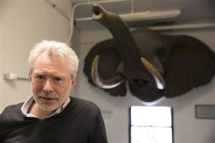 Martin Surbeck Age, Birthday, Wikipedia, Who, Nationality, Biography