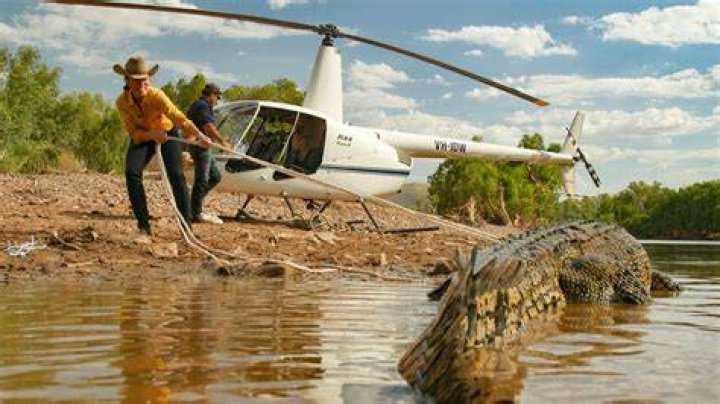 Matt Wright Crocodile Hunter Net Worth And Helicopter Crash Details