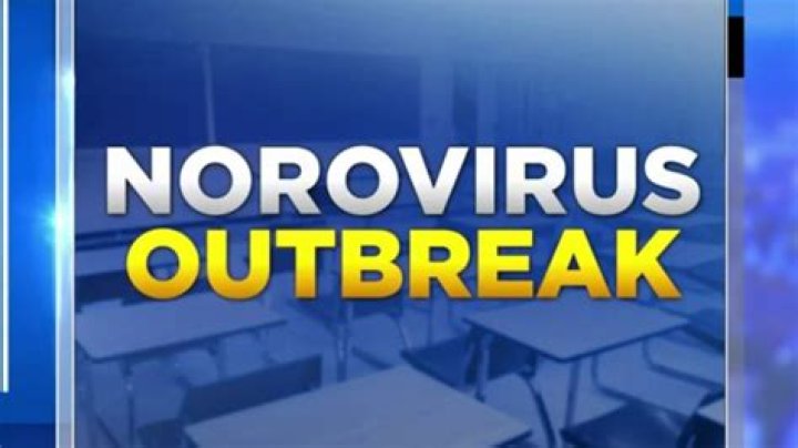 
Norovirus Outbreak Shuts Down Livonia School: The Stomach Bug Strikes 