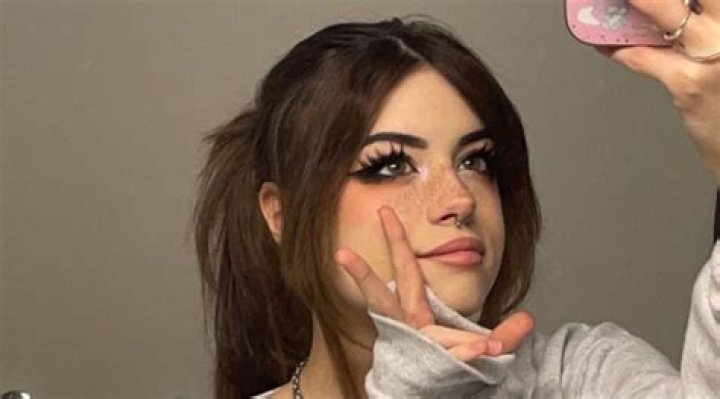 
NotAestheticallyHannah Age, Birthday, Wikipedia, Who, Nationality, Biography 