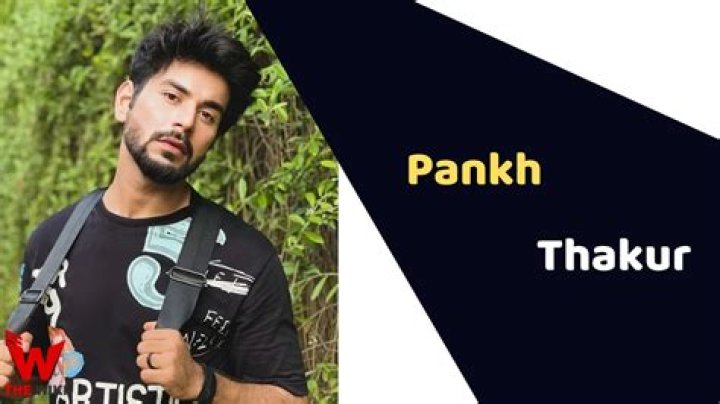 Pankh Thakur Height, Weight, Net Worth, Age, Birthday, Wikipedia, Who, Nationality, Biography