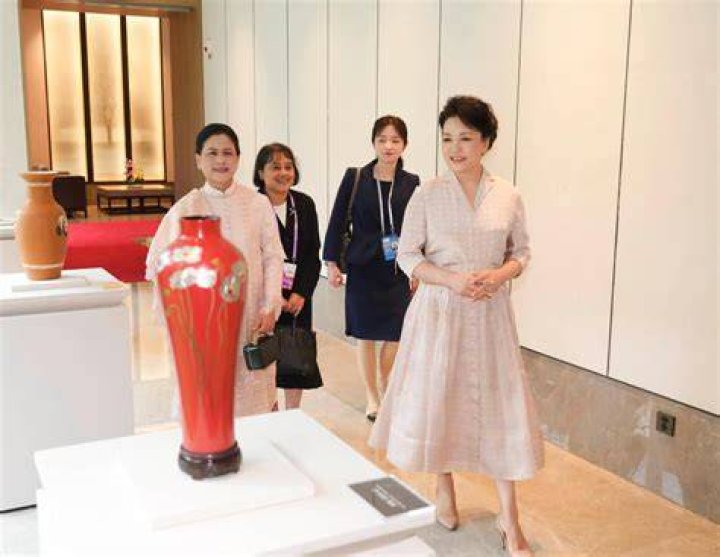 
Peng Liyuan Height, Weight, Net Worth, Age, Birthday, Wikipedia, Who, Nationality, Biography 
