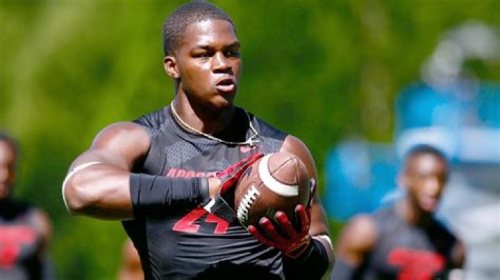 
Raekwon McMillan Height, Weight, Net Worth, Age, Birthday, Wikipedia, Who, Nationality, Biography 