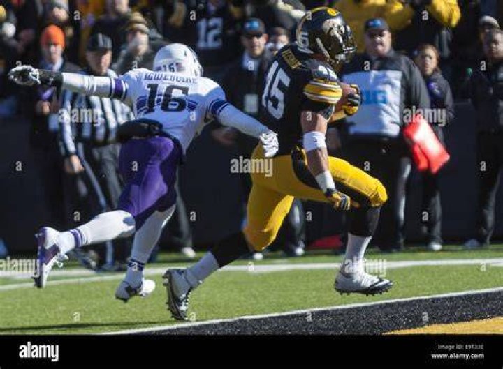 
Running Back Godwin Igwebuike Played College Football At The Northwestern 