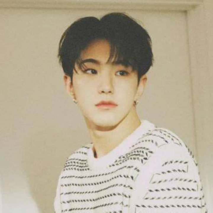 
SEVENTEEN’s Hoshi Astounded Everyone With His Innovative Approach To Fans 