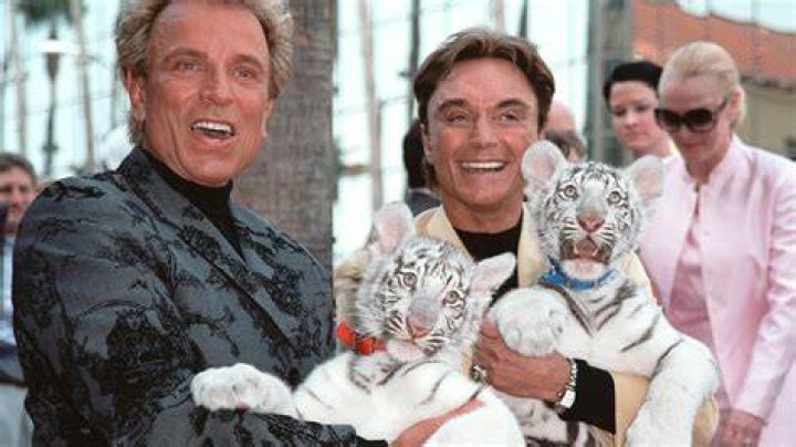 
Siegfried And Roy Tiger Attack Video – Where Is Roy Horn Now? 