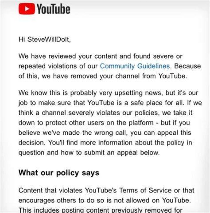 
Stephan Deleonardi’s Youtube Channel “SteveWillDoIt” Has Been Banned From The Platform 