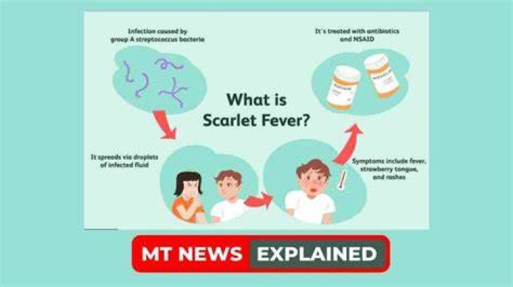 
Strep A Scarlet Fever outbreak: How did Hanna Roap die? Cause of death Explained 