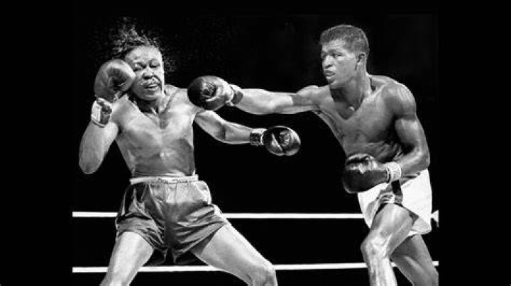 
Sugar Ray Robinson Cause of Death, How did Sugar Ray Robinson Die? 