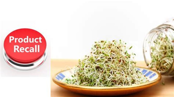 
SunSprouts Alfafa sprouts recall: Reason, lot codes, and all you need to know 