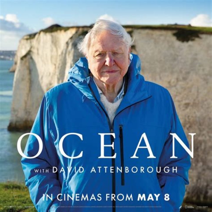 Susan Attenborough Height, Weight, Net Worth, Age, Birthday, Wikipedia, Who, Instagram, Biography