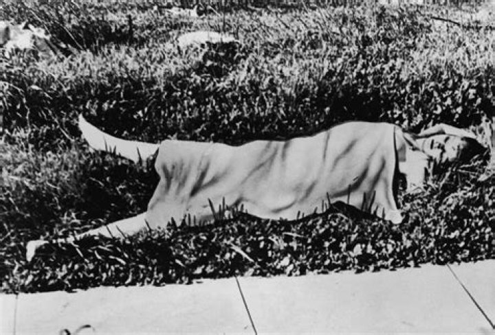 The Black Dahlia Autopsy Report | Dead Body Photos And Case Details