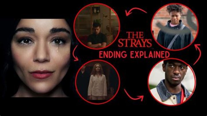 The Strays ending explained: A full circle, once again